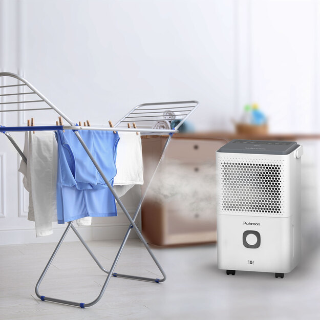 Rohnson R-91310 True Ion & Air Purifier